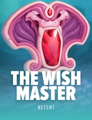 The Wish Master