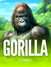 Gorilla