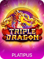 Triple Dragon